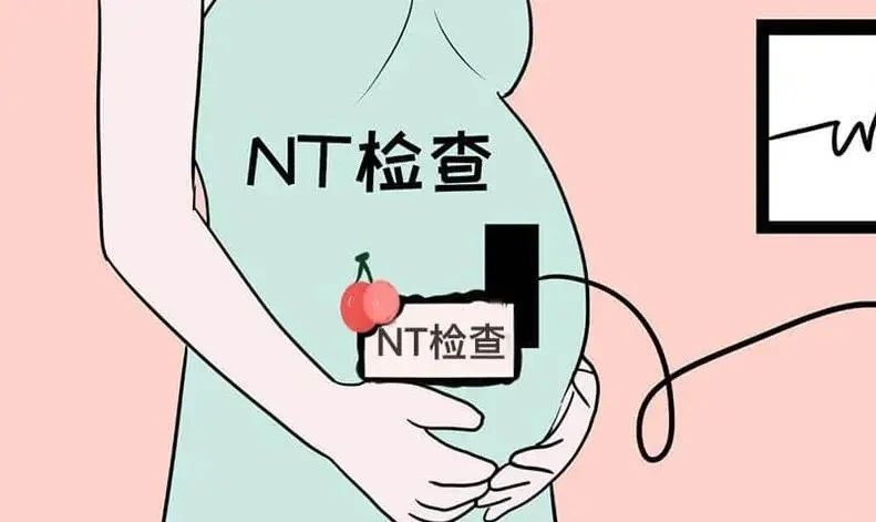 ̥һPNTz顱ʋǧfe`