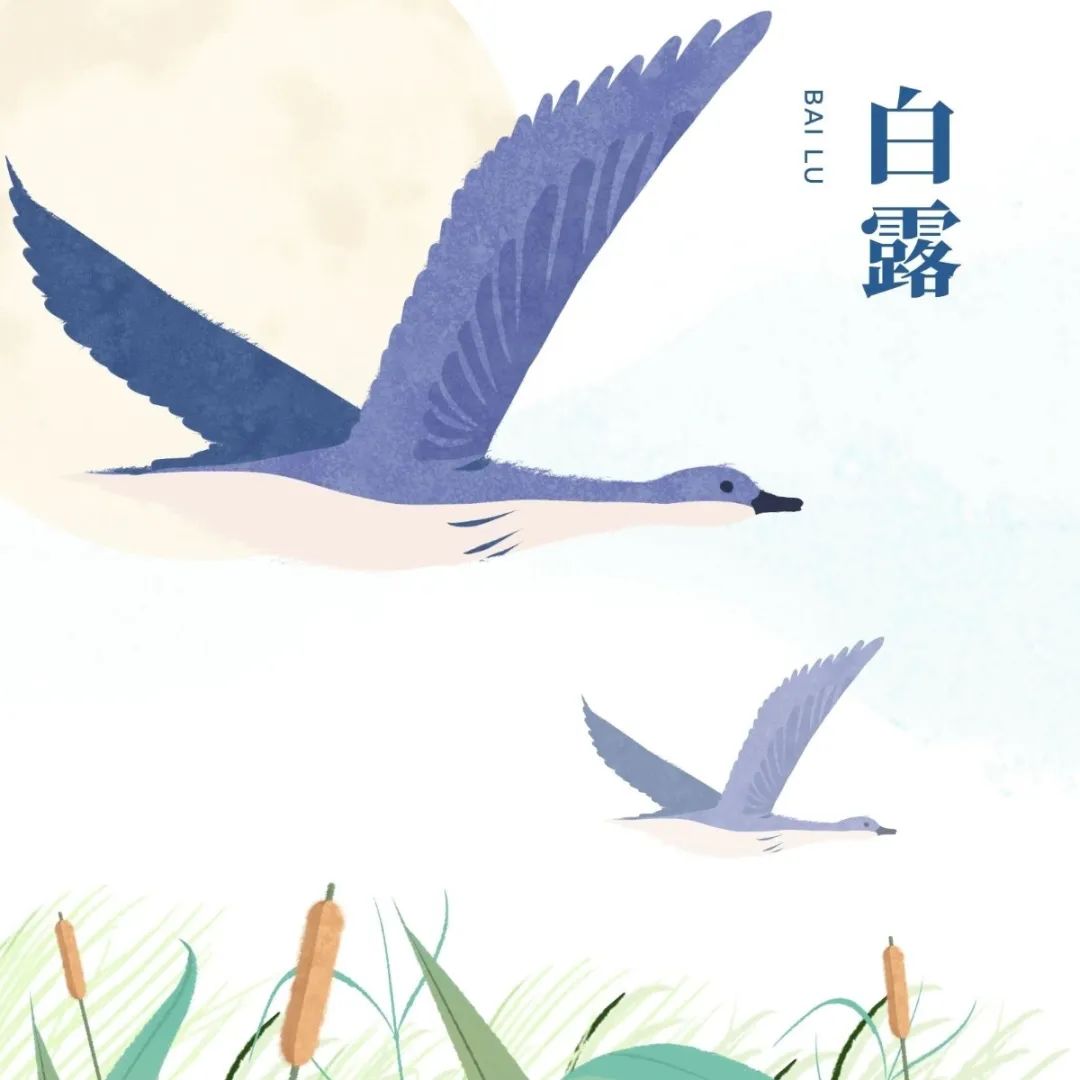 հ¶ | ⣬@ЩB(yng)Ҏ(gu)Ҫӛ!