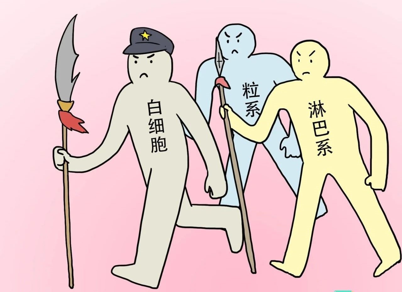 ѪҎ(gu)(bo)м^ǽt